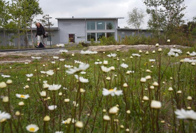 Loftadalens Folkhogskola Hotel Åsa Exterior foto